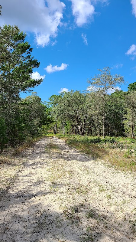 Annutteliga Hammock - Parking for trails