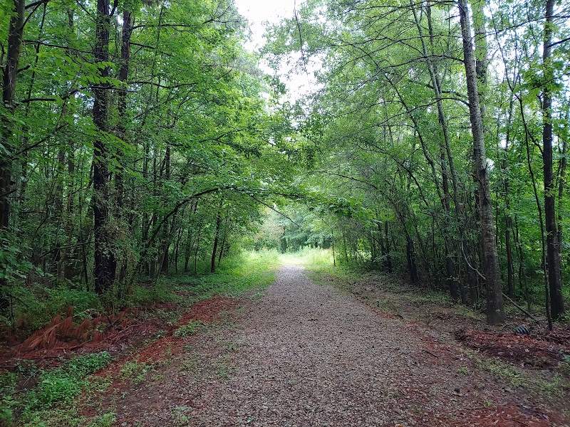 Mockingbird Trail