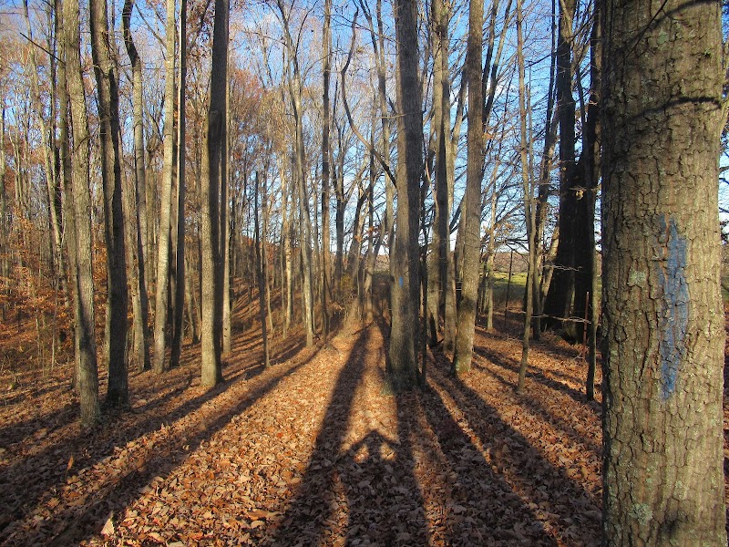 Payne's Farm Battlefield