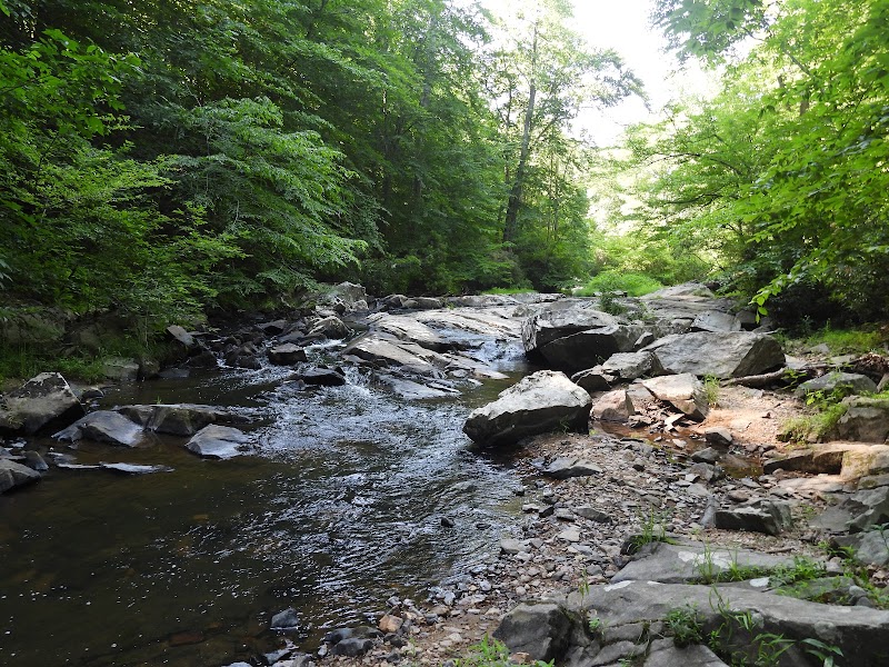 Prince William Forest Lot C