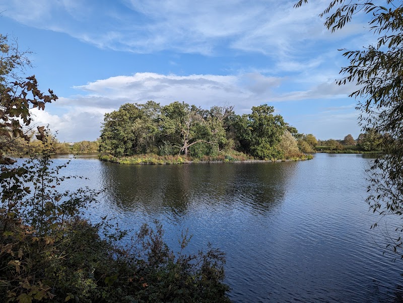Walthamstow Wetlands, London Wildlife Trust