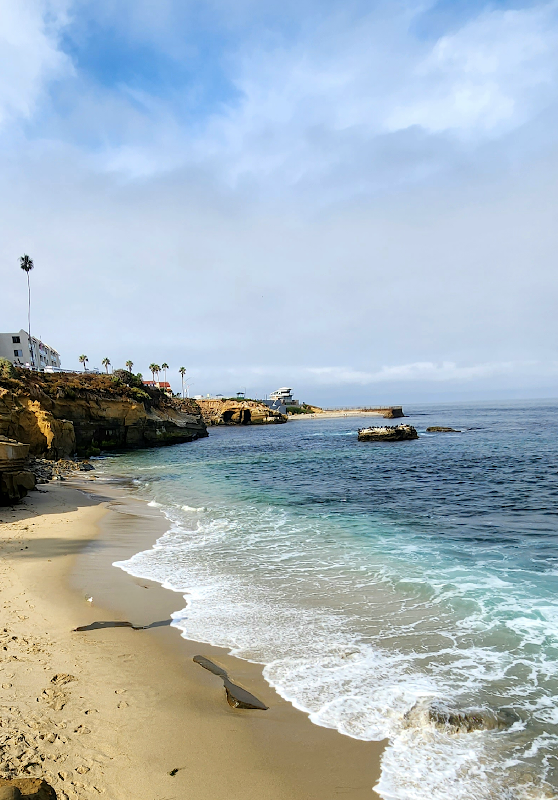 shell beach