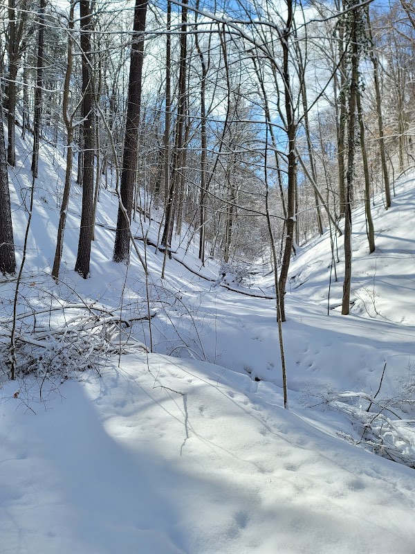 Ellison Park Penfield Rd Trailhead Parking Lot