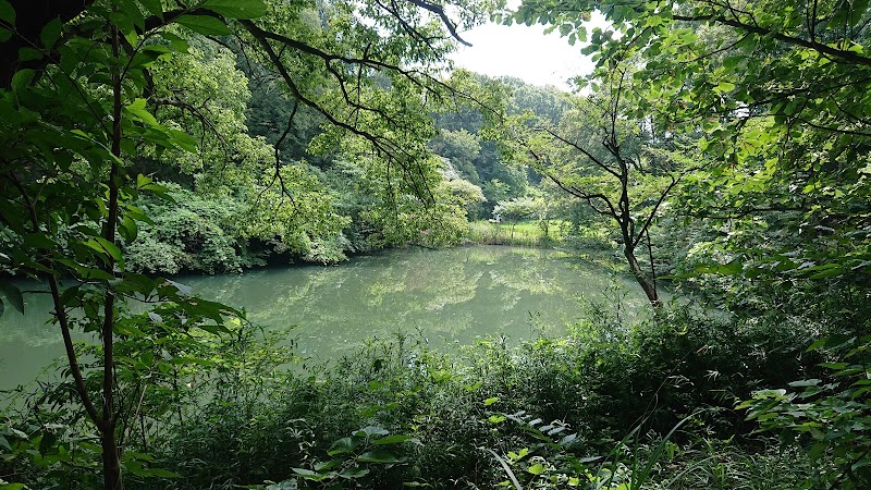 Nagaike