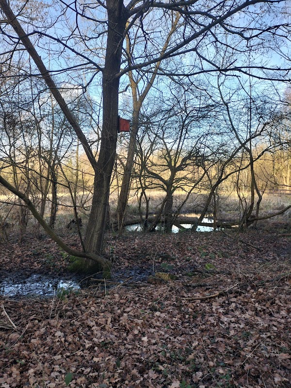 Moor bridge nature reserve