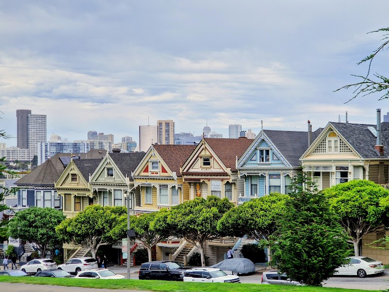 The Painted Ladies Observatory