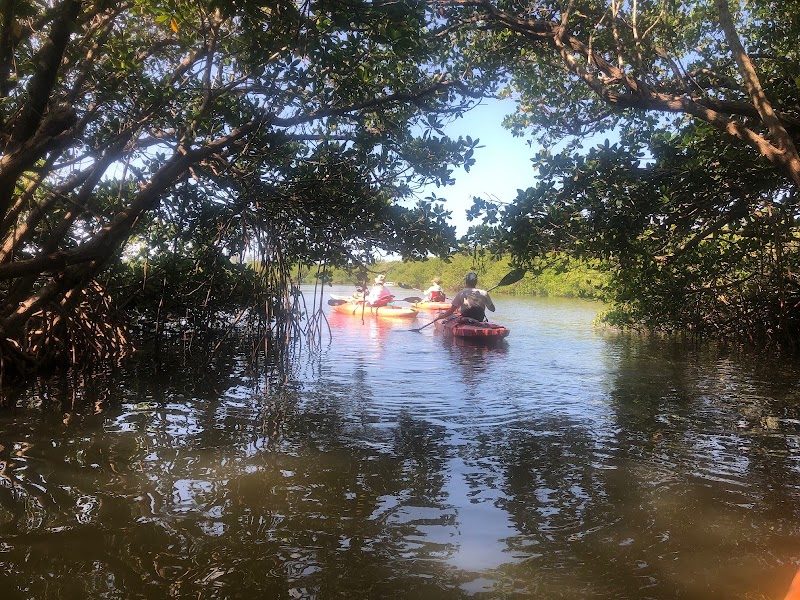 Adventure Sea Kayak & SUP