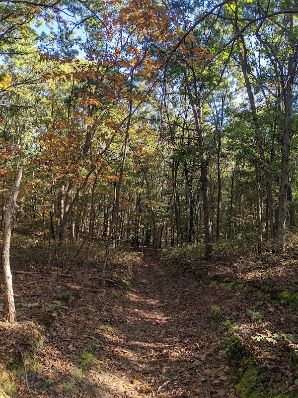 Kings Park Unique Area