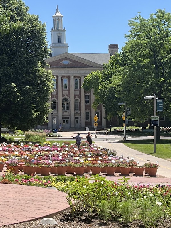 Gregory Allicar Museum of Art