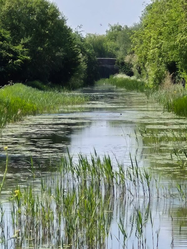 Terrapin Trail