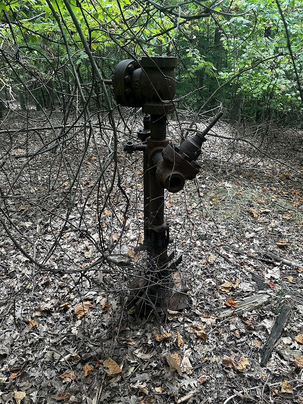 Sandy Hook Park