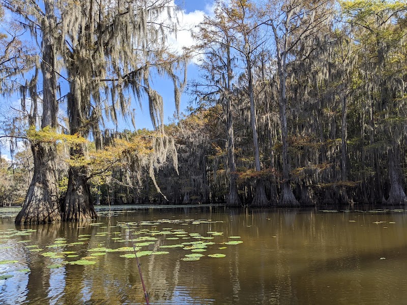 Caddo Lake