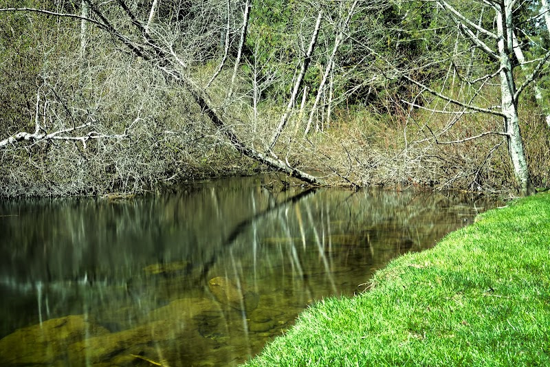 William Rivers Park