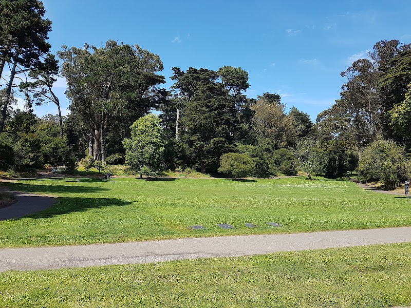 Peacock Meadow