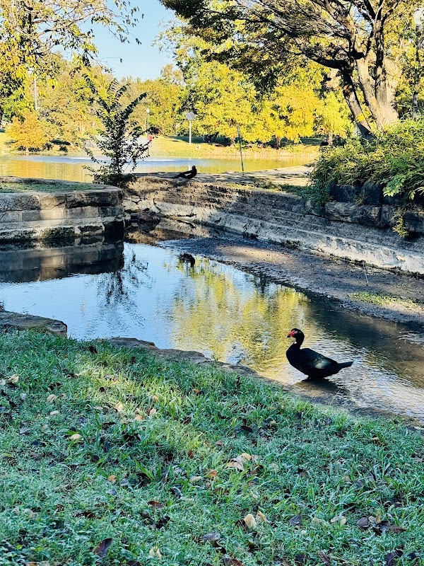 Kidd Springs Park Japanese Garden