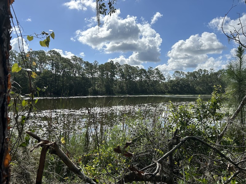 Wilderness Park Trout Creek Site