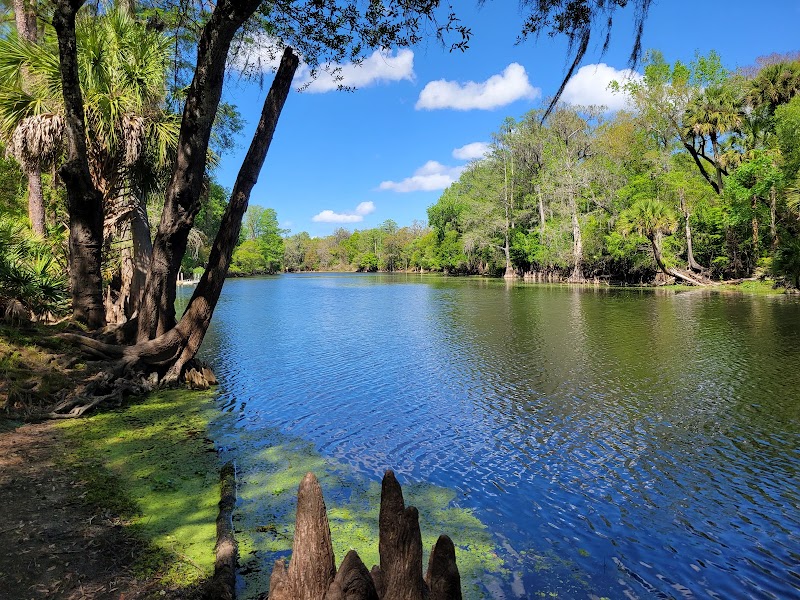 Wilderness Park Trout Creek Site