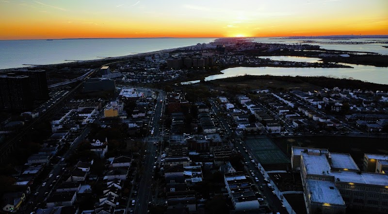 Tree🌳 Island 🌴Crossing
