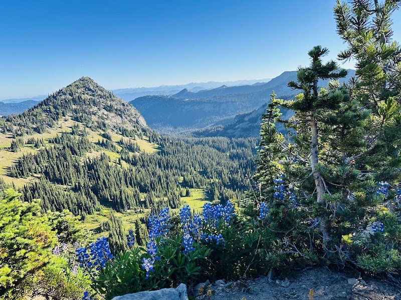 Sourdough Ridge Trailhead