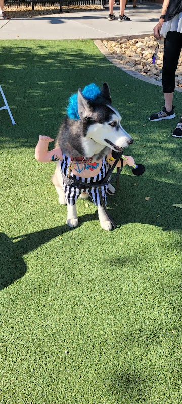 Large Dog Park-Members Only