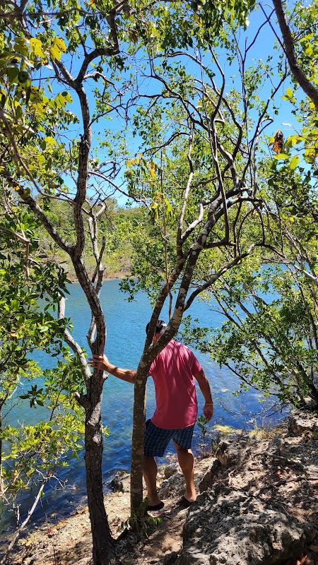 Dagny Johnson Key Largo Hammock Botanical State Park Parking