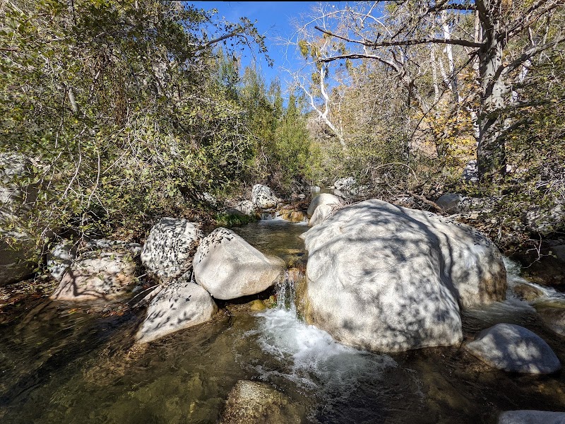 Bear Creek