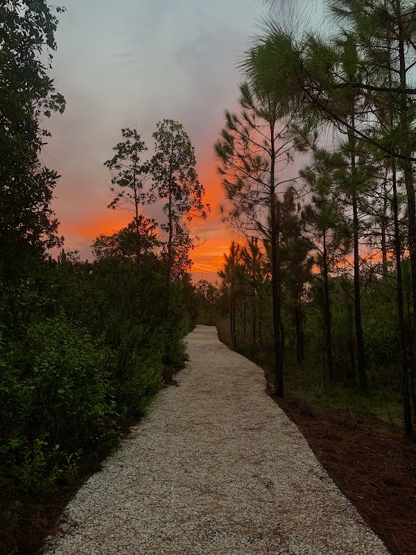 Laureate Park Nature Trailhead (Phase 10)