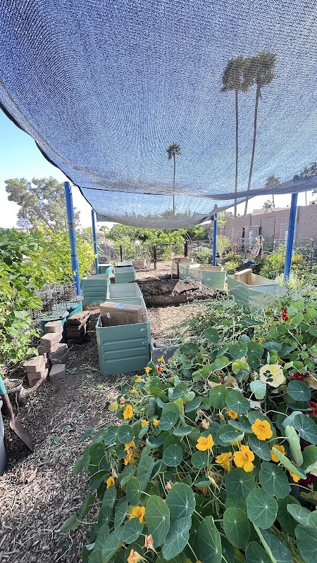Ahwatukee Community Garden