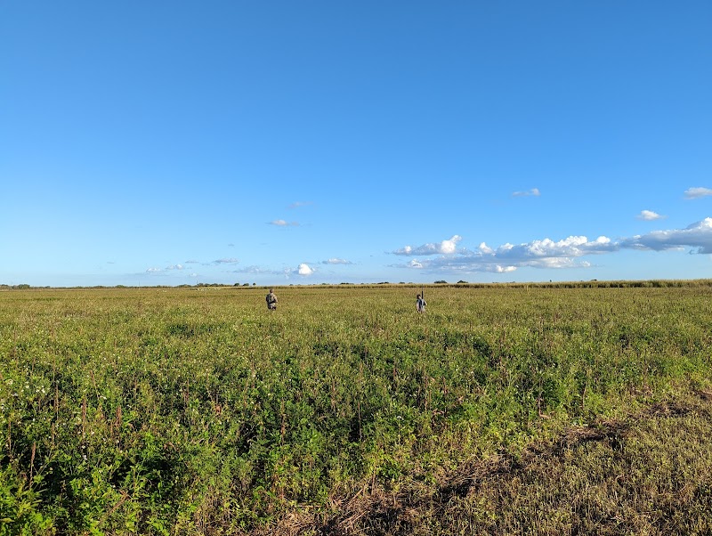 Frog Pond Wildlife Management Area
