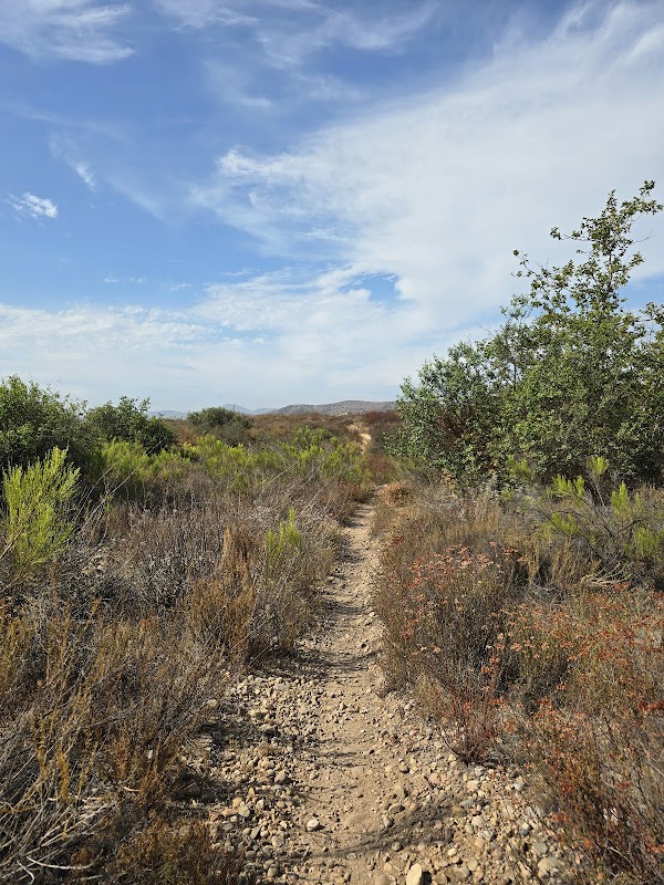 Mission Trails Open Space