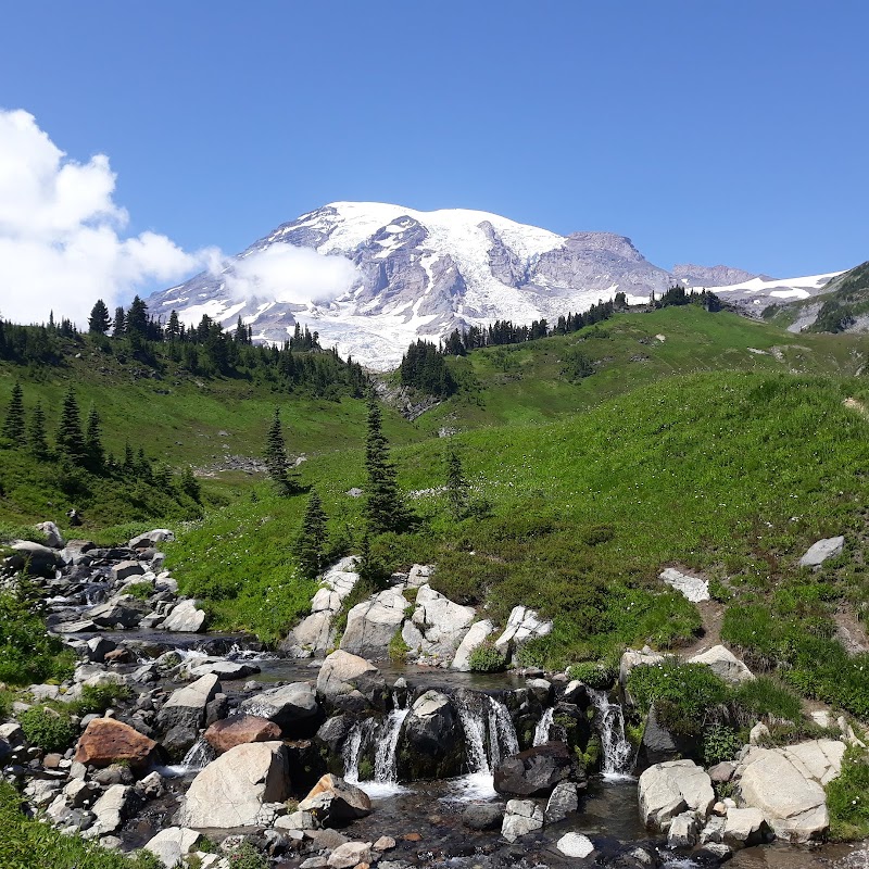 Mount Rainier National Park