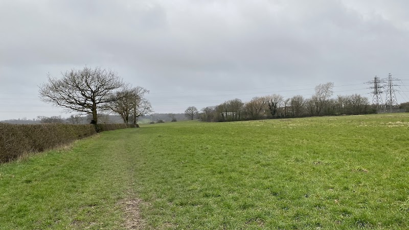 Sylvia Avenue Open Space