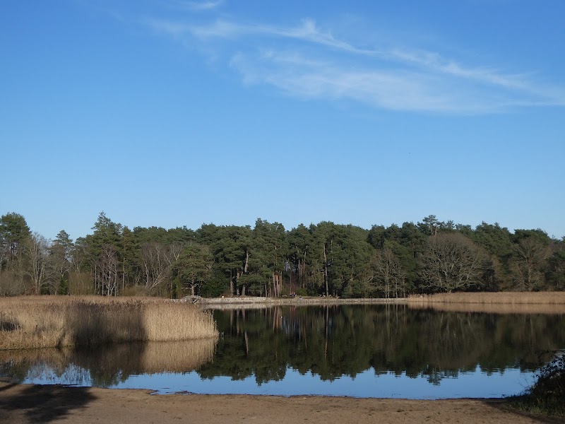 National Trust - Frensham Little Pond