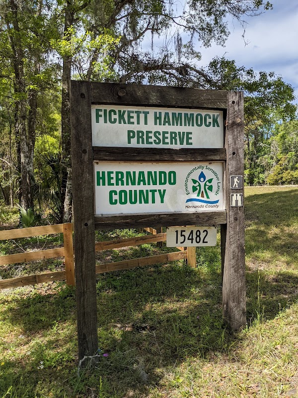 Fickett Hammock Preserve - trailhead