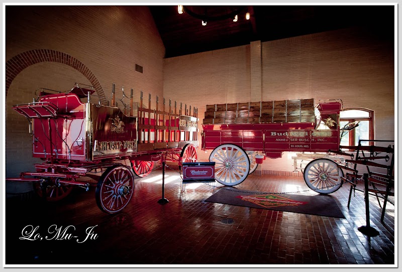 Budweiser Brewery Experience