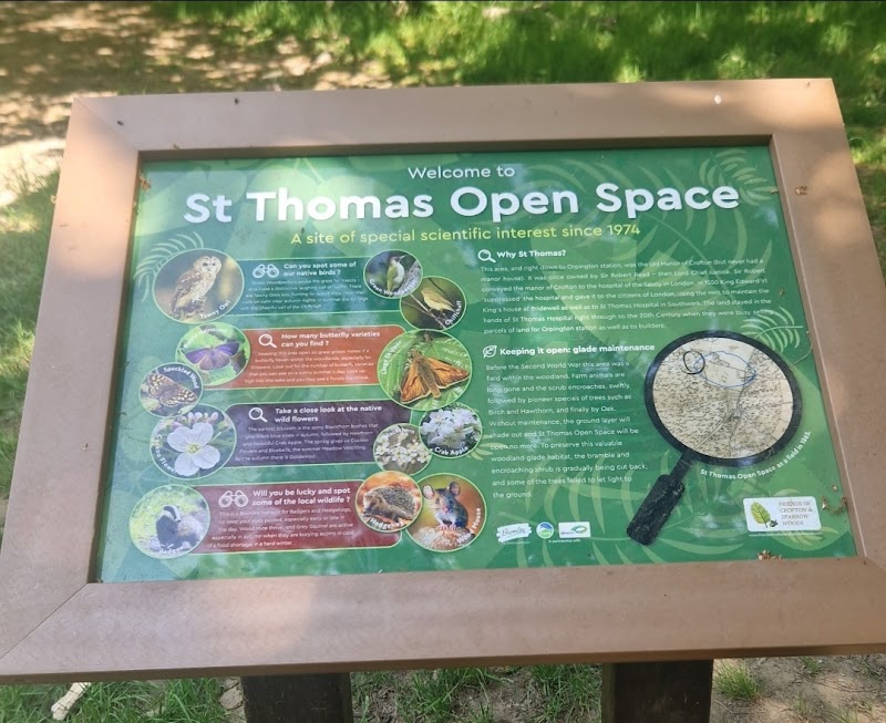 St Thomas Open Space