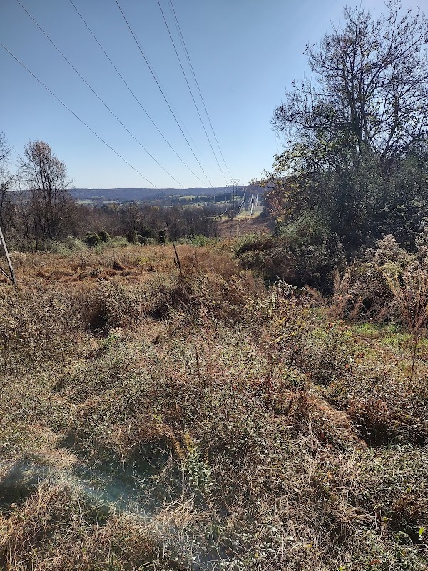 Holland Highlands MTB Trail Center (Holland Township Preserve)