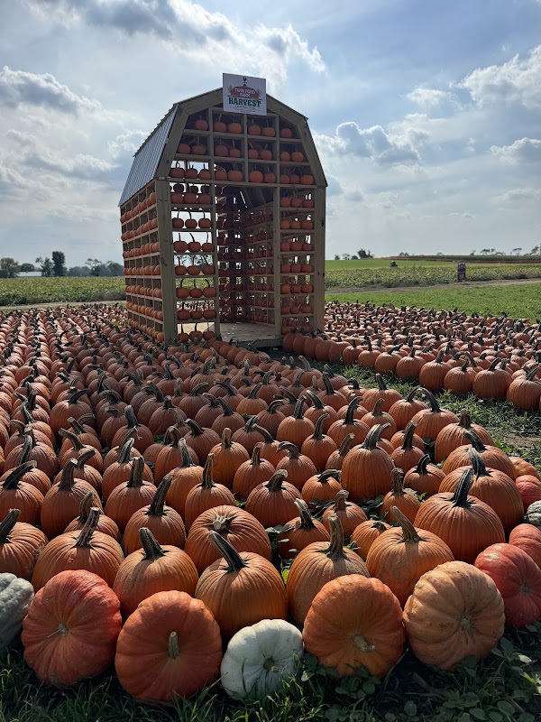 Twin Pond Farm Harvest at 49 Howell Road