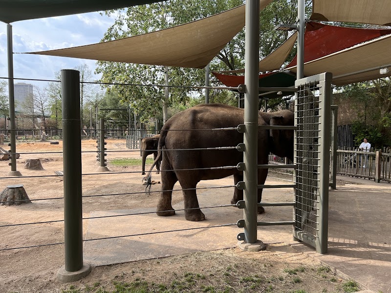 McNair Asian Elephant Habitat