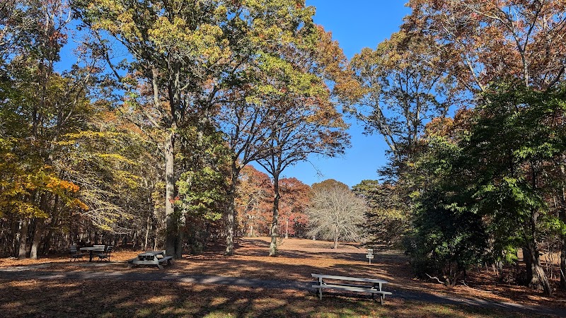 Buckskill Meadow Preserve