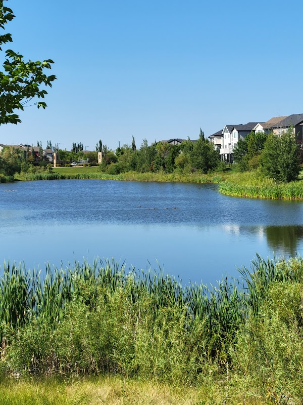 Helm Pond
