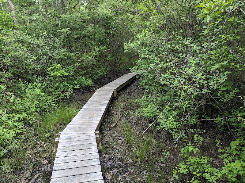 DNRT Hiking Trail " Star of the Sea"