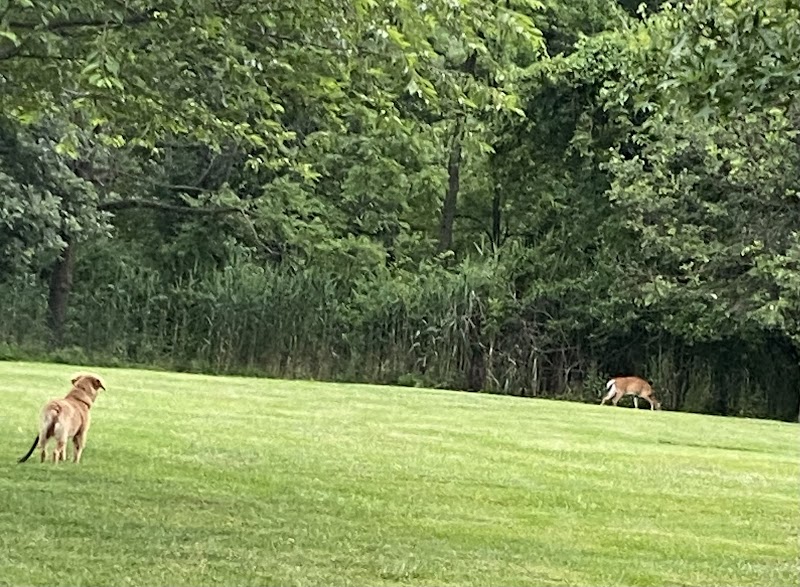 Bensalem Central Park