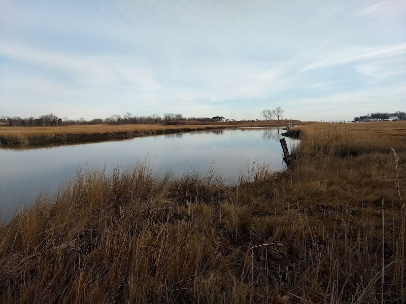 West River Marsh Wildlife Area