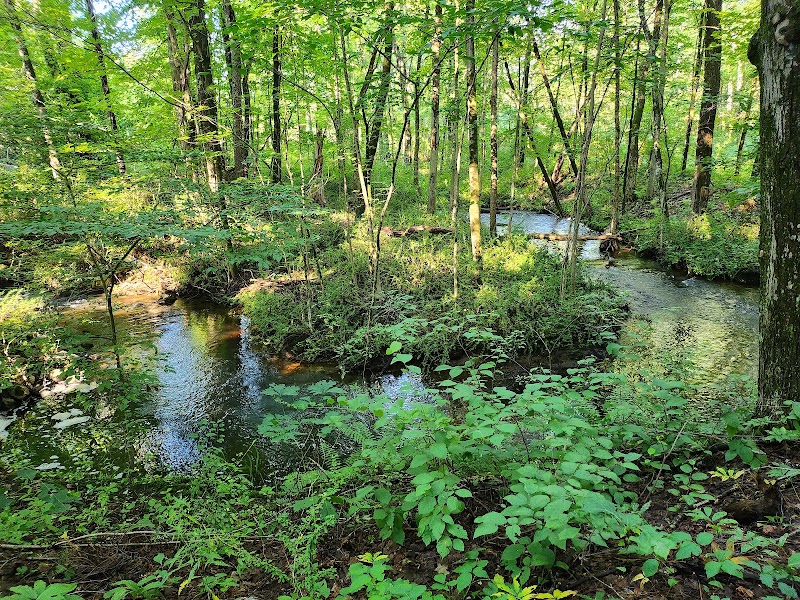 ACL Carolyn Orr Trail System