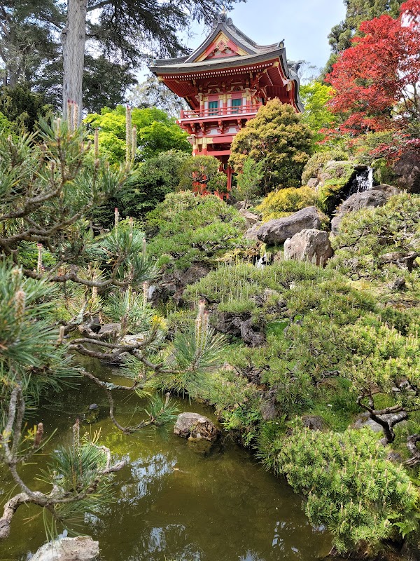Japanese Tea Garden