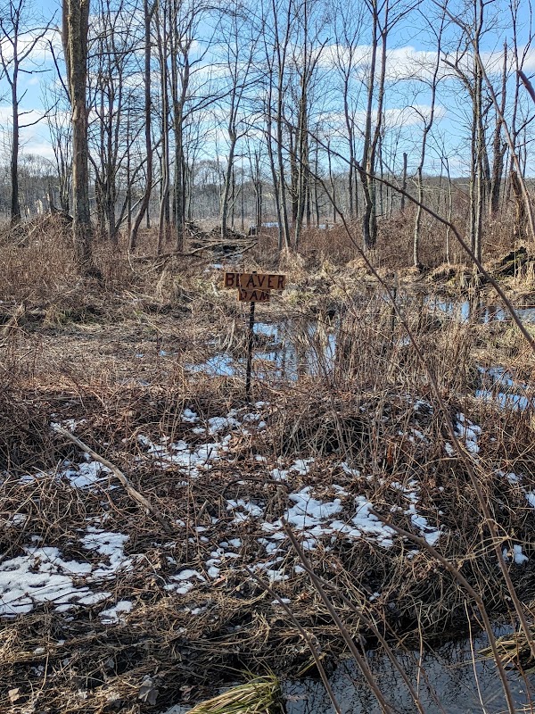 Otis Smith Farm and Rowbottom Preserve - Cumberland Land Trust