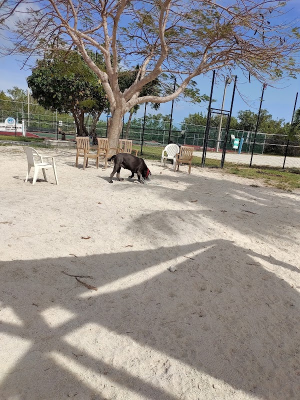 Big Pine Key Dog Park