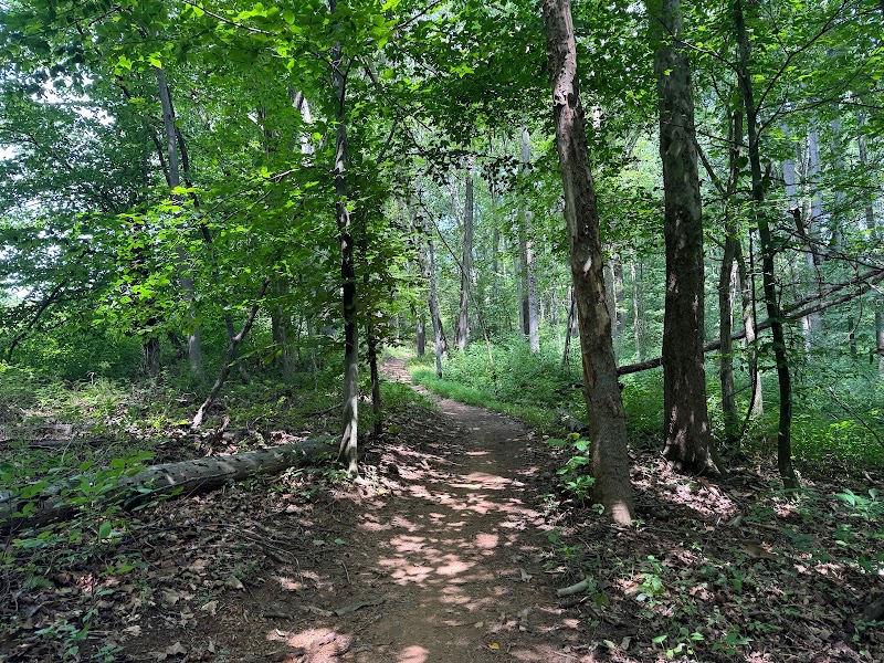 Little Bennett Trailhead