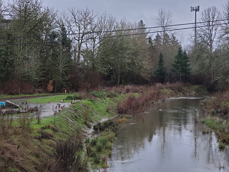 Fanno Creek Park